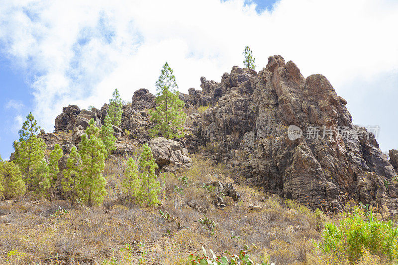 Roque Nublo - 大金丝雀